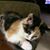 Jerry Hren's profile image