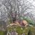 Windy Pense's profile image