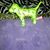 Amy Lynn Kanavos's profile image