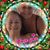 Sherri Calvert's profile image