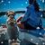 Shannon Talbert's profile image