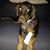 Maggie Jolly Karveller's profile image