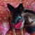 Ann Ridenour's profile image