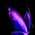 Connie Nelson's profile image