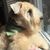 Imogene Wheaten's profile image