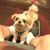 Margaret Winningham Yenny's profile image