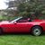 Sally Basselgia Seward's profile image