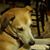 Billy Alley's profile image
