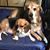 Sharon Gilley's profile image