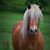 Ashlei Brown's profile image