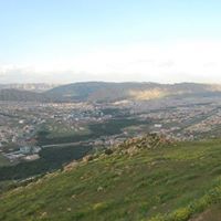 Dîlovan Sîndi's profile image