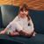Kate McGee Silva's profile image