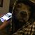Wilson Dolittle's profile image