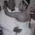 Daphne Pickett Morgan's profile image