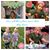 Sara Heisler's profile image