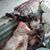 Angie Kay Boman's profile image