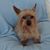 Carolyn Harrison's profile image
