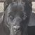 Champ Chumbley's profile image