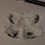 Lisa Christina's profile image