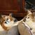 Carolyn Brown's profile image