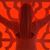 Ania Healy's profile image