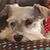 Judy Compton's profile image