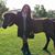 Patti Thompson's profile image