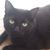 Joy Raines-Jones's profile image