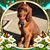 Stephanie Bowden's profile image