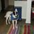 Tammy Greenberg's profile image