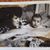 Lori Gamino Whitten's profile image