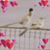 Twila Kunde's profile image