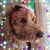 Mandy Ward Lemnah's profile image
