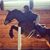 Jennifer Bagwell's profile image