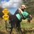 Susie Cegielski's profile image