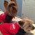Jenny B. Kern's profile image