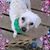 Carolyn Horton's profile image
