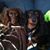Linda Innes Novotny's profile image