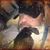Todd Stone's profile image