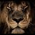 Pelt Richard's profile image