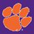 Lisa Nelms Murphy's profile image