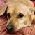Jackie Kemp Lawson's profile image