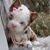 Cynthia Norah Argil's profile image