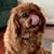 Tina McDaniel Partenio's profile image