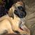 Laurie Vogt's profile image