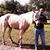 Dominick Paglia's profile image