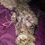 Dawn Lee Hayward's profile image