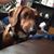 Joe Schmiederer's profile image