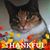 Maritza C. Bosch's profile image