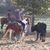 Alberto Rnrcowboy Lucato's profile image